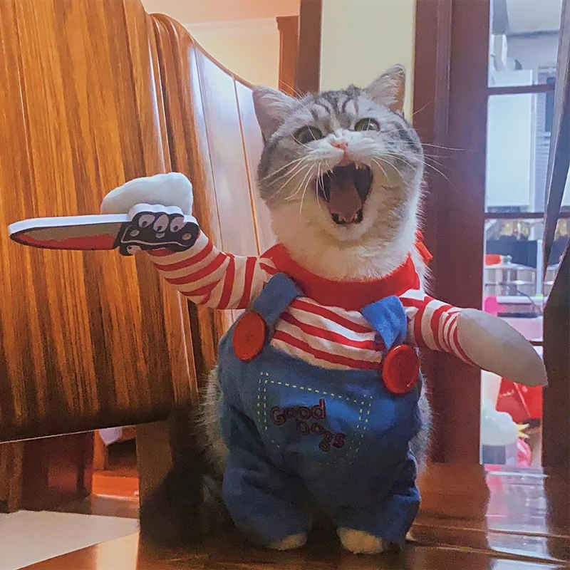 Funny Halloween Pet Jumpsuit 2