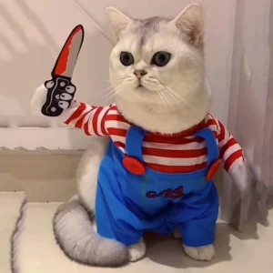 Funny Halloween Pet Jumpsuit 1